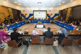 Toàn cảnh Hội nghị Bộ trưởng Văn hóa Nga-ASEAN. (Ảnh: Quang Vinh/Vietnam+)