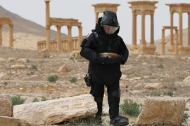 Công binh Nga rà phá bom mìn tại thành cổ Palmyra. (Nguồn: Russia Today)