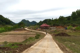 Một con đường bêtông nội bản ở tỉnh Sơn La. (Ảnh: TTXVN)