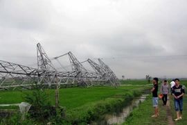 Cột điện trên đường dây 500 kV Quảng Ninh-Hiệp Hòa bị đổ. (Ảnh: Việt Hùng/TTXVN)