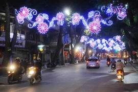 Ảnh minh họa. (Nguồn: TTXVN)