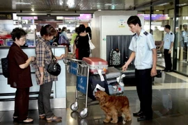 Nhân viên hải quan sử dụng chó nghiệp vụ kiểm tra hành lý nghi vấn của khách nhập cảnh. (Ảnh: TTXVN)