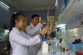 (Ảnh minh họa: CTV/Vietnam+)