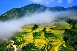 Điểm đến tuyệt vời vào mùa Thu ở châu Á: Điểm tên Sa Pa và Cần Thơ