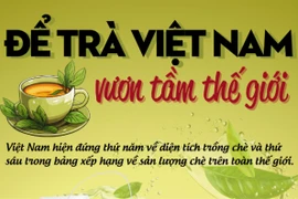 Gỡ nút thắt "giá rẻ," đưa trà Việt Nam vươn tầm thế giới