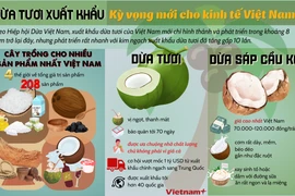 Dừa tươi: Bật lên như một hiện tượng xuất khẩu, tạo kỳ vọng mới cho kinh tế 