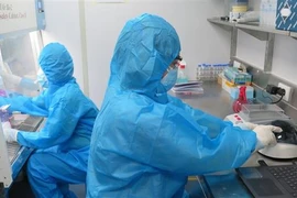 Các bác sỹ, kỹ thuật viên Trường Đại học Kỹ thuật Y - Dược Đà Nẵng hỗ trợ tỉnh Phú Yên thực hiện xét nghiệm SARS-CoV-2. (Ảnh: Xuân Triệu/TTXVN)
