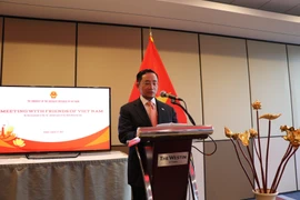Đại sứ Đặc mệnh toàn quyền Phạm Cao Phong phát biểu tại buổi gặp mặt. (Ảnh: TTXVN) 