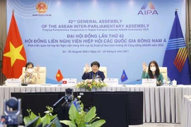 Các nữ nghị sỹ Quốc hội Việt Nam chào đại biểu quốc tế. (Ảnh: Doãn Tấn/TTXVN)