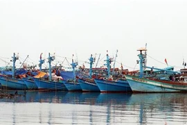 Tàu cá neo đậu trên vùng biển thành phố Rạch Giá (Kiên Giang). (Ảnh: Lê Huy Hải/TTXVN)