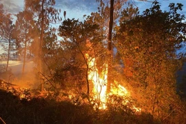 Một đám cháy rừng ở Thừa Thiên-Huế. (Ảnh: TTXVN phát)