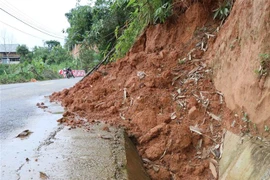 (Ảnh minh họa: Xuân Tiến/TT)XVN