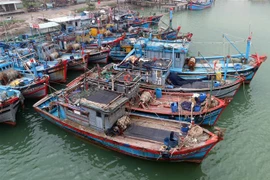 Tàu cá của ngư dân neo đậu tại Đà Nẵng. (Ảnh: Trần Lê Lâm/TTXVN)