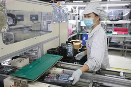 (Ảnh minh họa: Danh Lam/TTXVN)