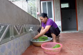 (Ảnh minh họa: Vũ Quang/TTXVN)