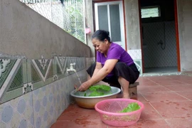 (Ảnh minh họa: Vũ Quang/TTXVN)