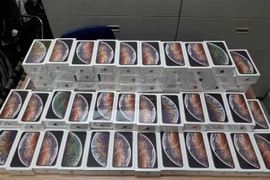 (Ảnh minh họa: Anh Tuấn/TTXVN)