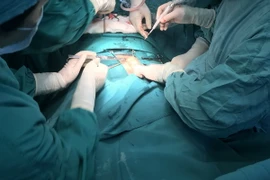 (Ảnh minh họa: Lê Xuân/TTXVN)