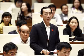 Đại biểu Quốc hội Thành phố Hồ Chí Minh Trần Hoàng Ngân phát biểu. (Ảnh: Văn Điệp/TTXVN)