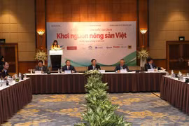 Quang cảnh Diễn đàn. (Ảnh: Vũ Sinh/TTXVN)