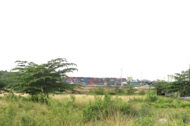 (Ảnh minh họa: Trần Xuân Tình/TTXVN)