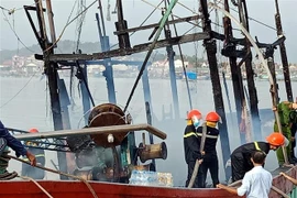 (Ảnh minh họa: Tá Chuyên/TTXVN)