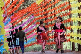 Đường lên khu du lịch đồi thông được trang trí bởi hàng nghìn chiếc chong chóng với đủ màu sắc. (Ảnh: Công Tuyên/TTXVN)