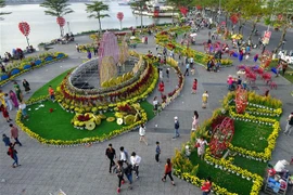 (Ảnh minh họa: Trần Lê Lâm/TTXVN)