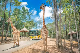 Với Vinpearl Land Gia Lâm du khách sẽ khám phá thế giới tự nhiên trên xe lội nước hiện đại thay vì đi ôtô như tại Vinpearl Land Phú Quốc.