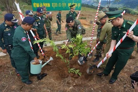 Trồng cây tại cột mốc ngã ba biên giới Việt Nam-Lào-Campuchia. (Ảnh minh họa: Cao Nguyên/TTXVN)