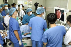 (Ảnh minh họa: Dương Ngọc/TTXVN)