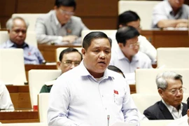 Đại biểu Quốc hội tỉnh Long An Đặng Hoàng Tuấn phát biểu. (Ảnh: Văn Điệp/TTXVN)