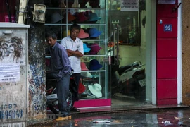 (Ảnh: Minh Sơn/Vietnam+)