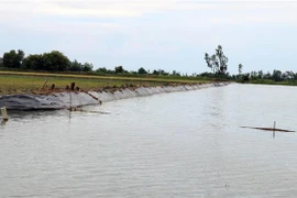 (Ảnh minh họa: Lê Huy Hải/TTXVN)