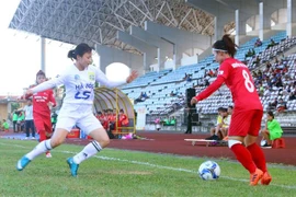 (Ảnh minh họa: Đại Nghĩa/TTXVN)