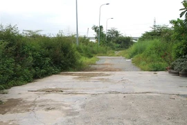 (Ảnh minh họa: Trần Xuân Tình/TTXVN)