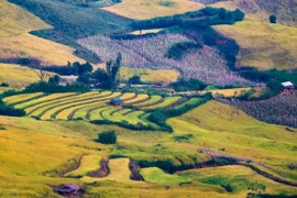 Điện Biên Đông là một trong những huyện nghèo vùng cao của tỉnh Điện Biên, có địa hình chủ yếu là đồi núi nhưng lại mang vẻ đẹp hoang sơ, mộc mạc...