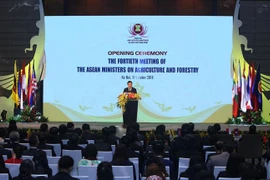 Phó Thủ tướng Chính phủ Trịnh Đình Dũng phát biểu. (Ảnh: Vũ Sinh/TTXVN)