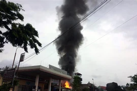 (Ảnh minh họa: TTXVN)