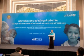 Công bố kết quả điều tra về tình hình của trẻ em và phụ nữ tại Việt Nam. (Ảnh: PV/Vietnam+)