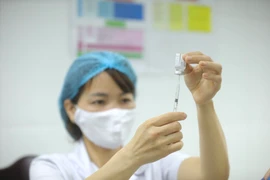 (Ảnh minh hoạ: Minh Quyết/TTXVN)