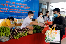 Cán bộ mặt trận tổ quốc trao “túi quà đoàn kết” cho những hộ nghèo, gia đình chính sách, người dân lao động ngoại tỉnh, sinh viên. (Ảnh: Trần Việt/TTXVN)