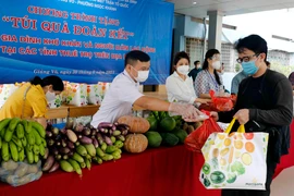 Cán bộ mặt trận tổ quốc trao “túi quà đoàn kết” cho những hộ nghèo, gia đình chính sách, người dân lao động ngoại tỉnh, sinh viên. (Ảnh: Trần Việt/TTXVN)