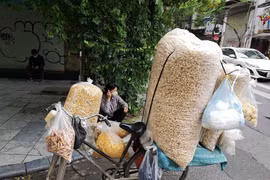 Lao động di cư bán hàng rong để mưu sinh trong đại dịch COVID-19. (Ảnh: Thanh Tùng/TTXVN)