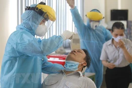 Xét nghiệm sàng lọc COVID-19 ngẫu nhiên cho công nhân. (Ảnh: Thanh Vũ/TTXVN)