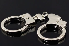 Ảnh minh hoạ (Nguồn: Internet) 