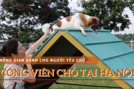 Có gì trong công viên dành cho ''cún cưng'' đầu tiên tại Hà Nội? (Ảnh: Minh Anh/Vietnam+)