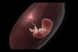 Một hình ảnh trong video quảng bá Liên hoan phim Khoa học 2022. (Ảnh: Ban tổ chức)