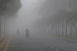 (Ảnh minh họa: Duy Khương/TTTXVN)