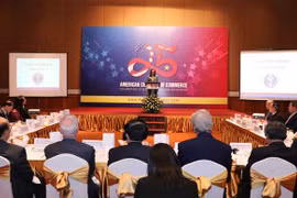Quang cảnh Lễ kỷ niệm. (Ảnh: Văn Điệp/TTXVN)